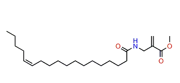 Hurghamide D